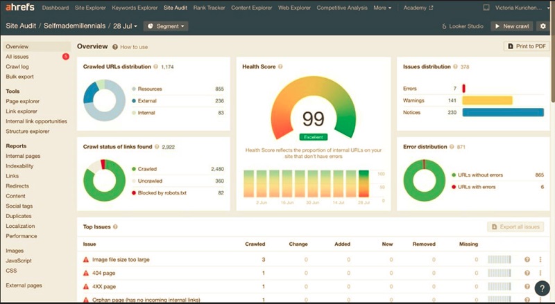 Dashboard or results from popular off page SEO tools like Ahrefs